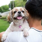 asian-young-man-with-his-shih-tze-dog-9B4NZHE.jpg