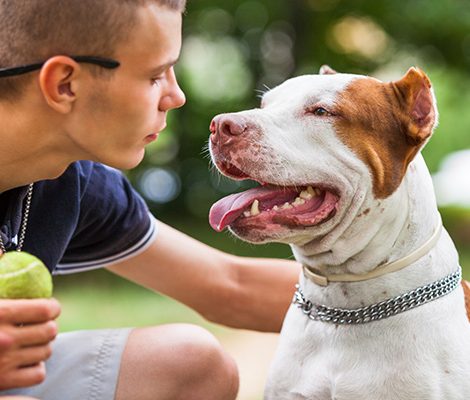 handsome-guy-playing-with-dog-outdoors-7V8NKPZ-1.jpg