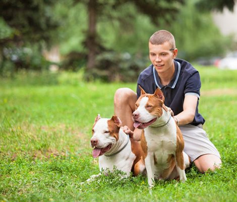 joyful-man-sitting-on-grass-with-dogs-546DYTN-1.jpg